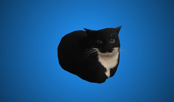 Dingus the cat — Poly Pizza 3D model by alwayshasbean
